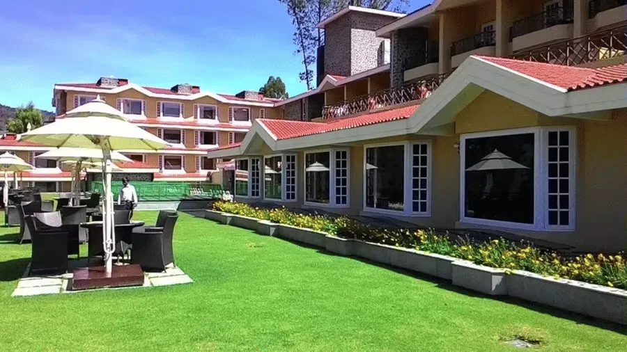The Terrace dining experience