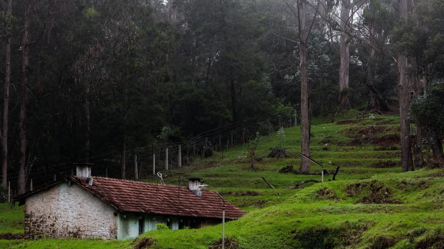 The Carlton Kodaikanal for Summer Holidays