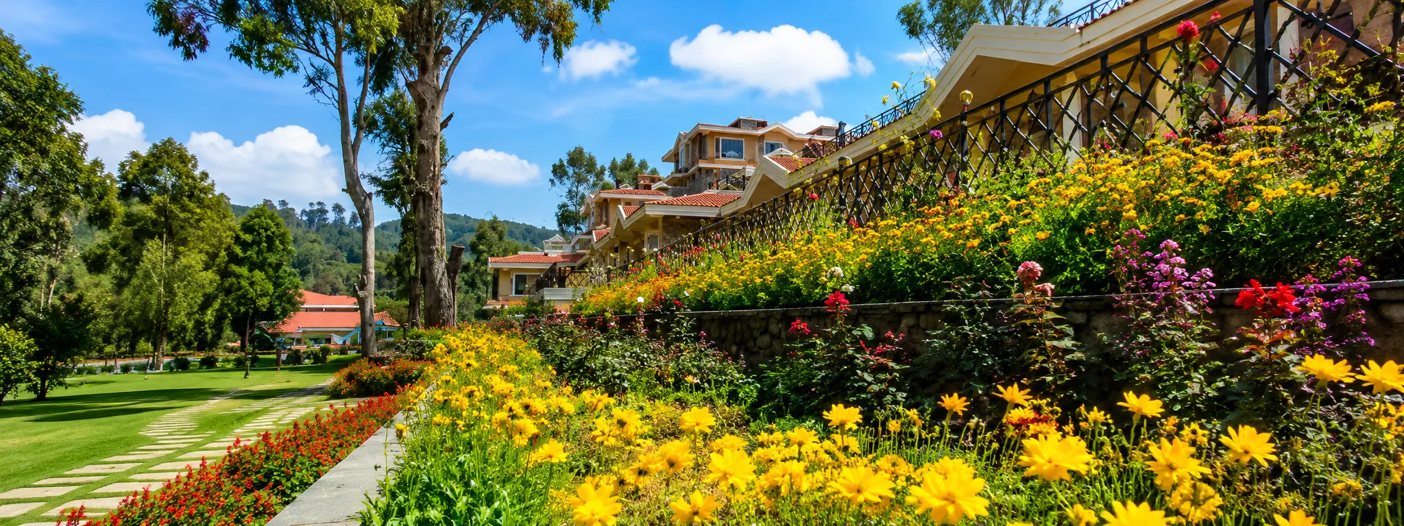 Offers & Packages - The Carlton Kodaikanal